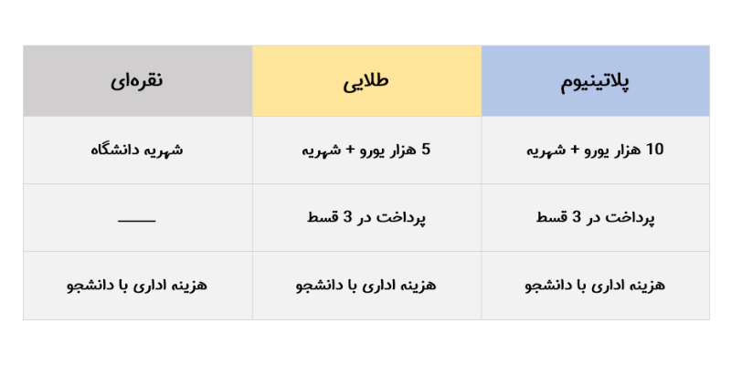 معرفی بورسیه هنری ایتالیا