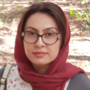 سونیا احمدی